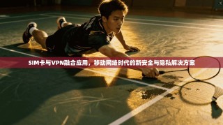 SIM卡与VPN融合应用，移动网络时代的新安全与隐私解决方案