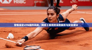 警惕绿豆VPN插件风险，网络工程师的深度解析与安全建议