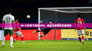 Wi-Fi环境下使用VPN，安全与效率的双重保障