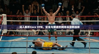 深入解析Coco VPN，安全与便捷的网络连接新选择