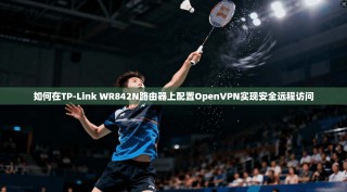 如何在TP-Link WR842N路由器上配置OpenVPN实现安全远程访问