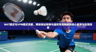 NAT模式与VPN模式详解，网络地址转换与虚拟专用网络的核心差异与应用场景