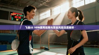 飞鱼SS VPN使用指南与安全风险深度解析