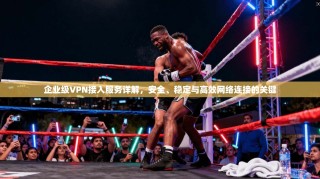 企业级VPN接入服务详解，安全、稳定与高效网络连接的关键