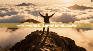 DMZ与VPN协同部署，企业网络安全架构的双保险策略