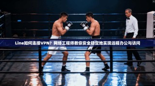 Line如何连接VPN？网络工程师教你安全稳定地实现远程办公与访问