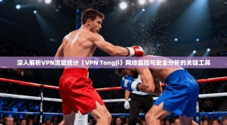 深入解析VPN流量统计（VPN Tongji）网络监控与安全分析的关键工具
