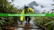 Windows系统中设置VPN连接的详细步骤与常见问题解析
