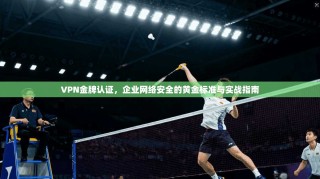 VPN金牌认证，企业网络安全的黄金标准与实战指南