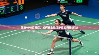 取消VPN订阅后，如何安全地保护你的网络隐私？