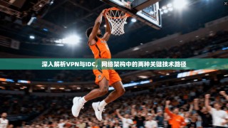 深入解析VPN与IDC，网络架构中的两种关键技术路径
