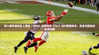 深入解析虚拟私人网络（VPN）洋葱路由（Tor）与IP隐藏技术，安全与隐私的多重防线