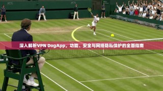 深入解析VPN DogApp，功能、安全与网络隐私保护的全面指南