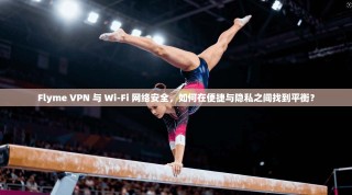 Flyme VPN 与 Wi-Fi 网络安全，如何在便捷与隐私之间找到平衡？
