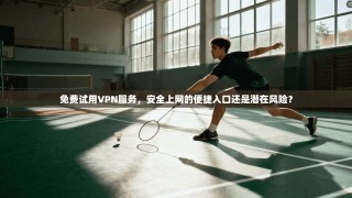 免费试用VPN服务，安全上网的便捷入口还是潜在风险？