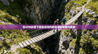 在VPN环境下高效访问内部资源的策略与实践