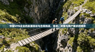 中国VPN企业的发展现状与合规挑战，技术、政策与用户需求的博弈