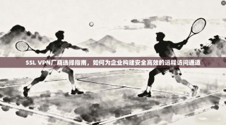 SSL VPN厂商选择指南，如何为企业构建安全高效的远程访问通道