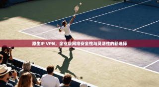原生IP VPN，企业级网络安全性与灵活性的新选择