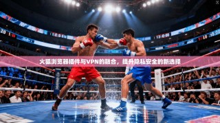 火狐浏览器插件与VPN的融合，提升隐私安全的新选择