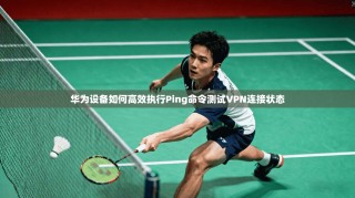 华为设备如何高效执行Ping命令测试VPN连接状态