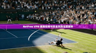 NetFree VPN 使用指南与安全风险深度解析