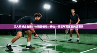 深入解析企业级VPN配置信息，安全、稳定与高效的关键要素