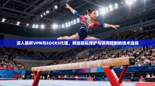 深入解析VPN与SOCKS代理，网络隐私保护与访问控制的技术选择