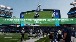 Linux系统下安装与配置VPN客户端的完整指南（含OpenVPN与WireGuard实战）