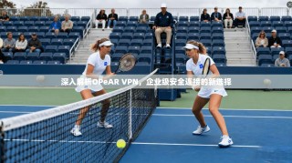 深入解析OPeAR VPN，企业级安全连接的新选择