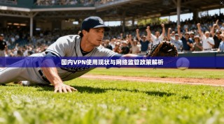 国内VPN使用现状与网络监管政策解析