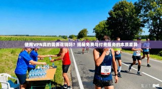 使用VPN真的需要花钱吗？揭秘免费与付费服务的本质差异