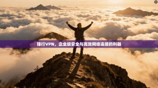 锋行VPN，企业级安全与高效网络连接的利器