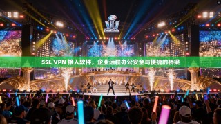 SSL VPN 接入软件，企业远程办公安全与便捷的桥梁