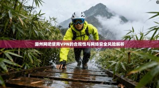 滁州网吧使用VPN的合规性与网络安全风险解析