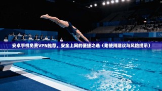 安卓手机免费VPN推荐，安全上网的便捷之选（附使用建议与风险提示）