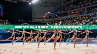 UBNT VPN Client 使用指南，企业级安全连接的便捷之选