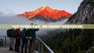 向日葵VPN联机实战指南，网络工程师视角下的配置与优化策略
