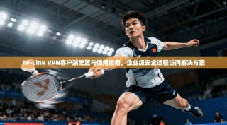 TP-Link VPN客户端配置与使用指南，企业级安全远程访问解决方案