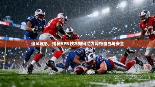追风逐影，揭秘VPN技术如何助力网络自由与安全