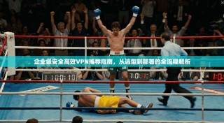 企业级安全高效VPN推荐指南，从选型到部署的全流程解析