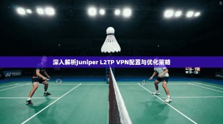 深入解析Juniper L2TP VPN配置与优化策略