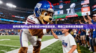 如何使用Ping命令测试VPN连接状态，网络工程师的实用指南
