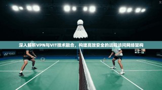 深入解析VPN与VIT技术融合，构建高效安全的远程访问网络架构