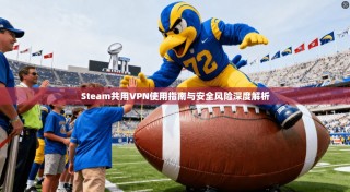 Steam共用VPN使用指南与安全风险深度解析