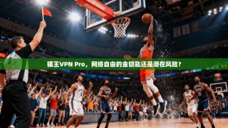 猫王VPN Pro，网络自由的金钥匙还是潜在风险？