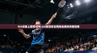 iOS设备上使用VPN Cat实现安全网络连接的完整指南