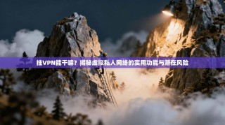 挂VPN能干嘛？揭秘虚拟私人网络的实用功能与潜在风险