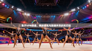 兔子VPN微盘，网络匿名与数据共享的双刃剑