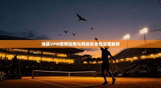 海豚VPN使用指南与网络安全性深度解析